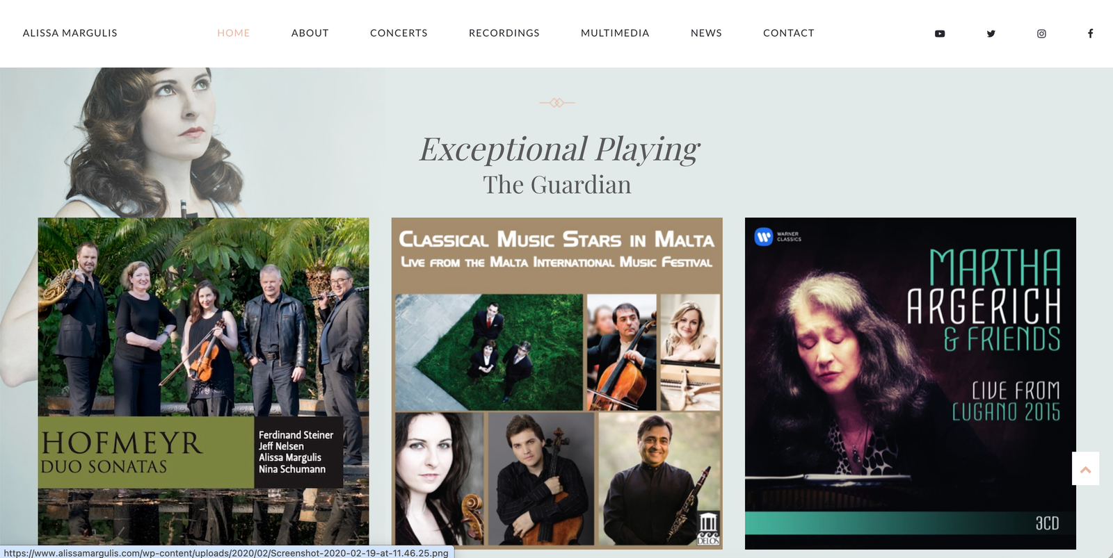 Website example screenshot 16
