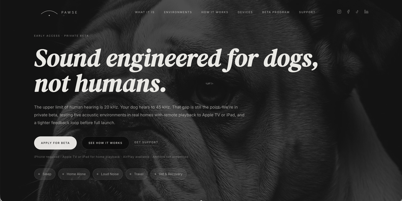 Pawse.ai homepage example